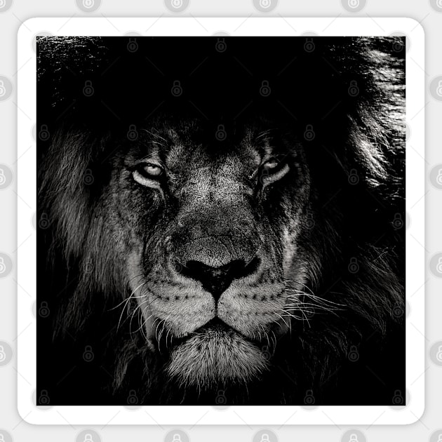 African Lion Portrait Sticker by ArtoTee